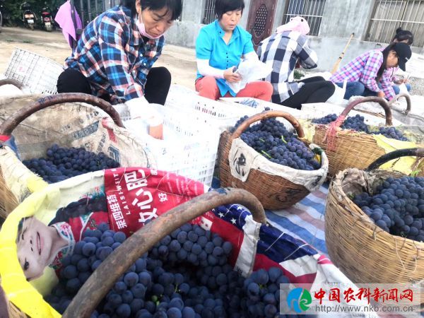 微信图片_20190801155853