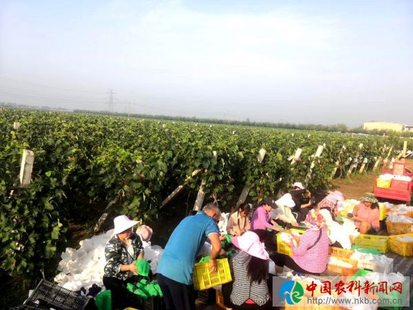 微信图片_20190801155845