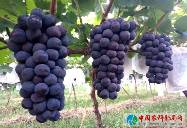 微信图片_20190801155903