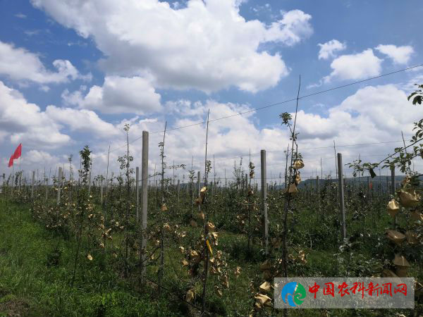 微信图片_20190709150710