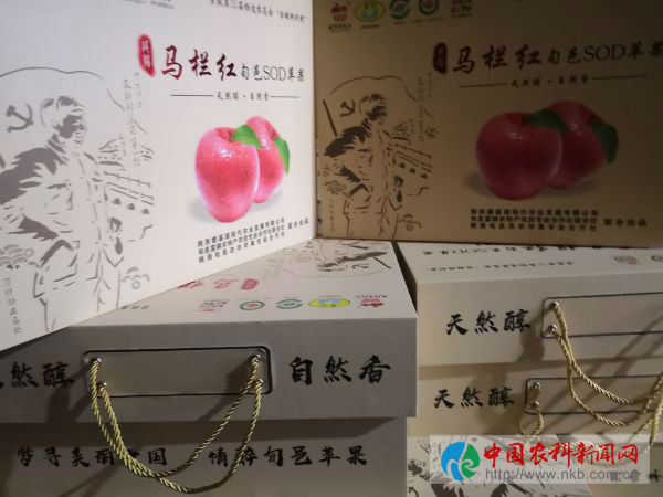 微信图片_20190709150710