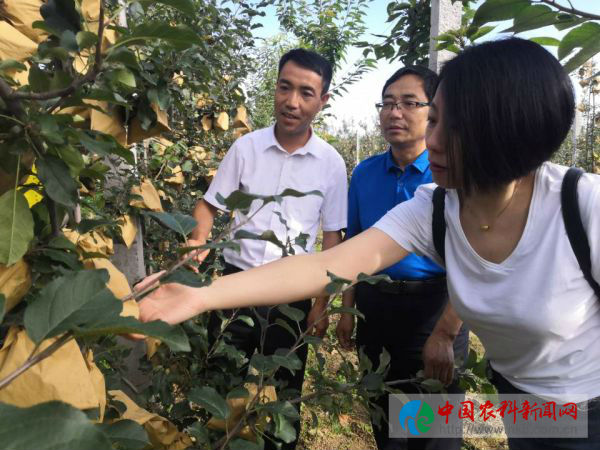 微信图片_20190709150710