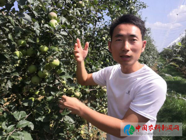 微信图片_20190709150710