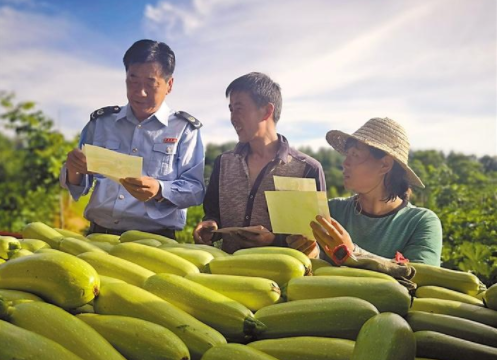 QQ截图20190814155428
