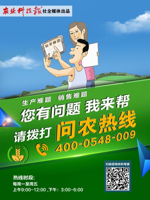 问农热线 海报