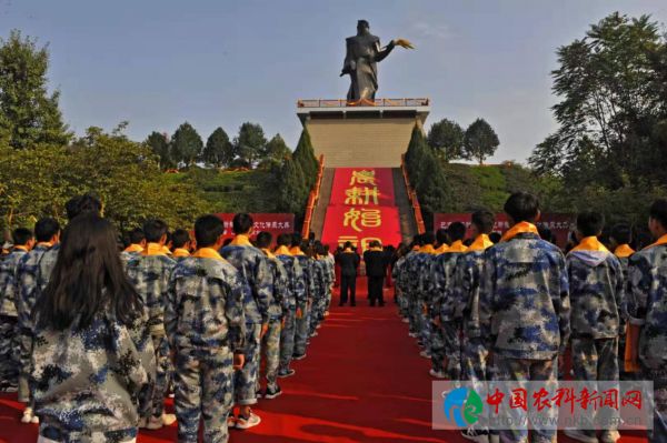图片1
