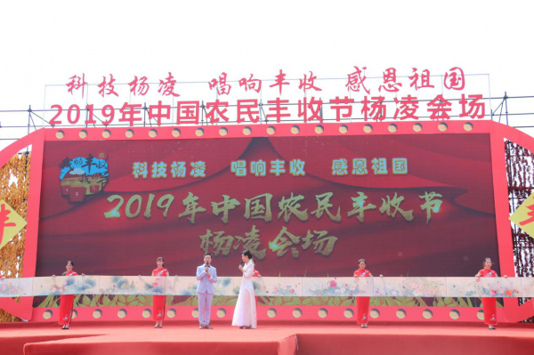 cnqiangnong