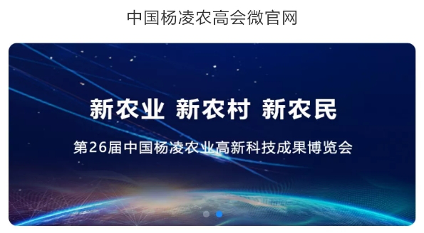 图片5