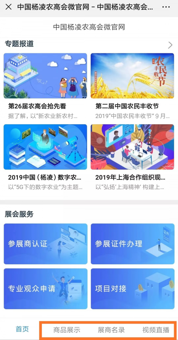 图片11