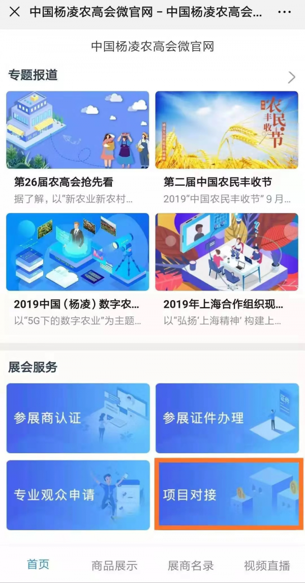 图片8