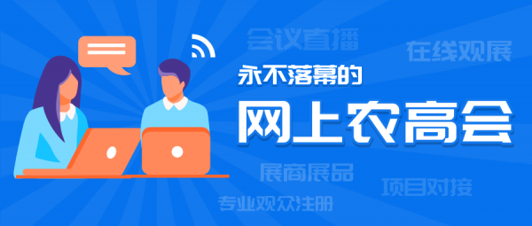 图片13