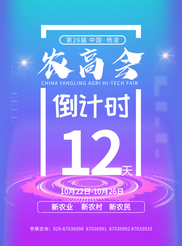 图片12