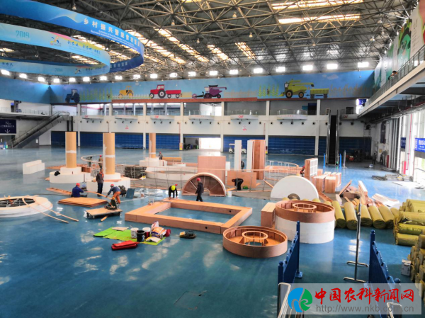 图片8
