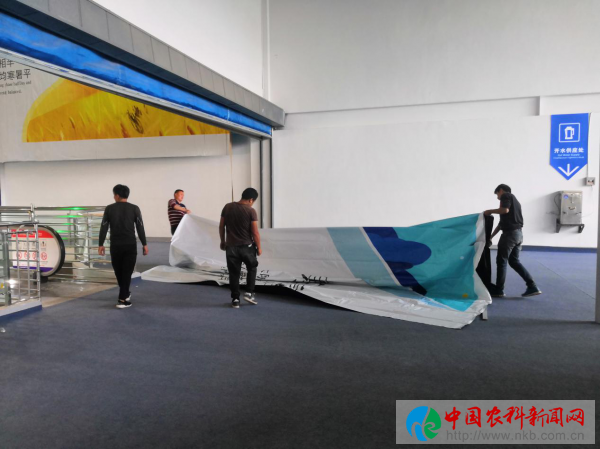 图片9