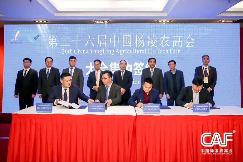 微信图片_20191024095103