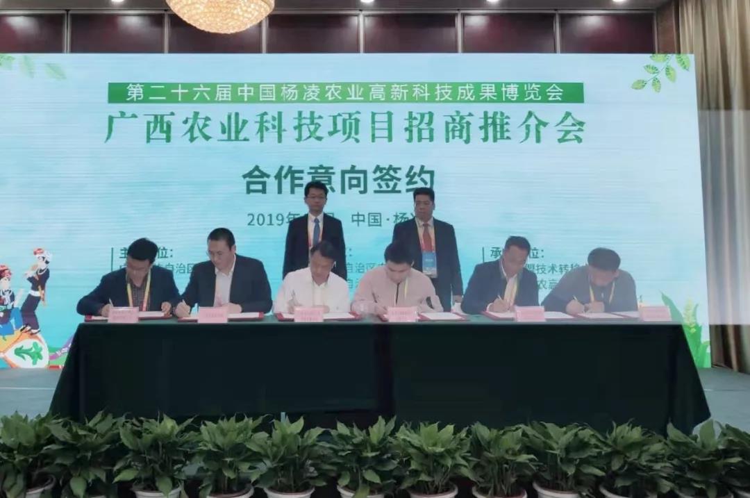 微信图片_20191024095106