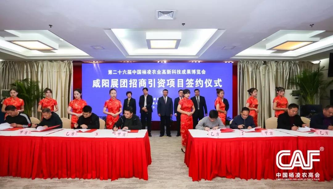 微信图片_20191024095112