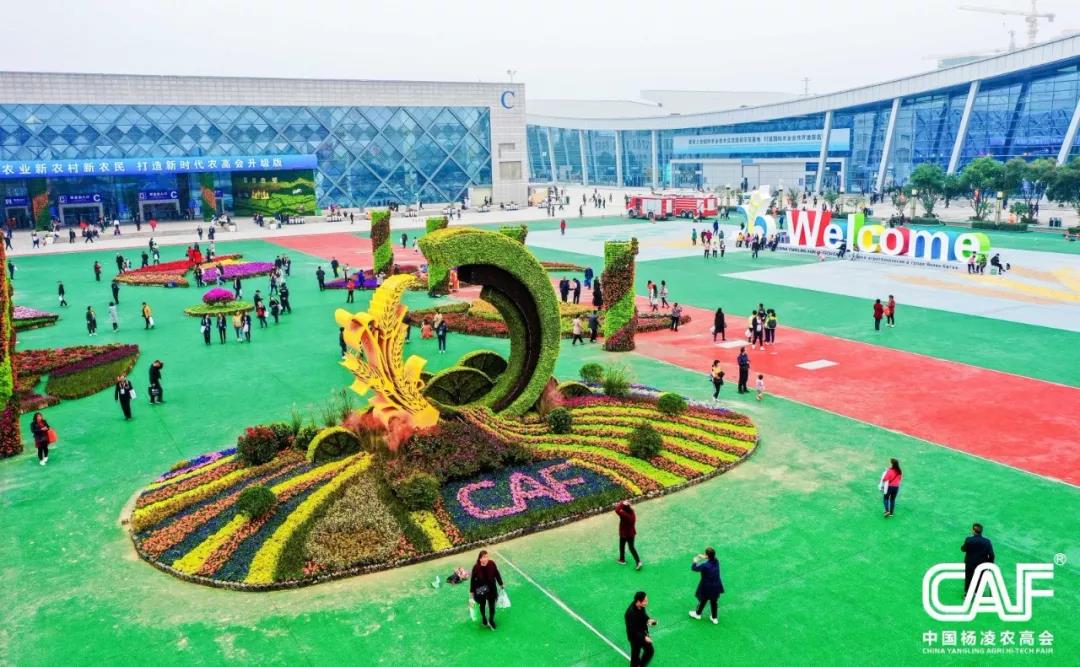 微信图片_20191024103607