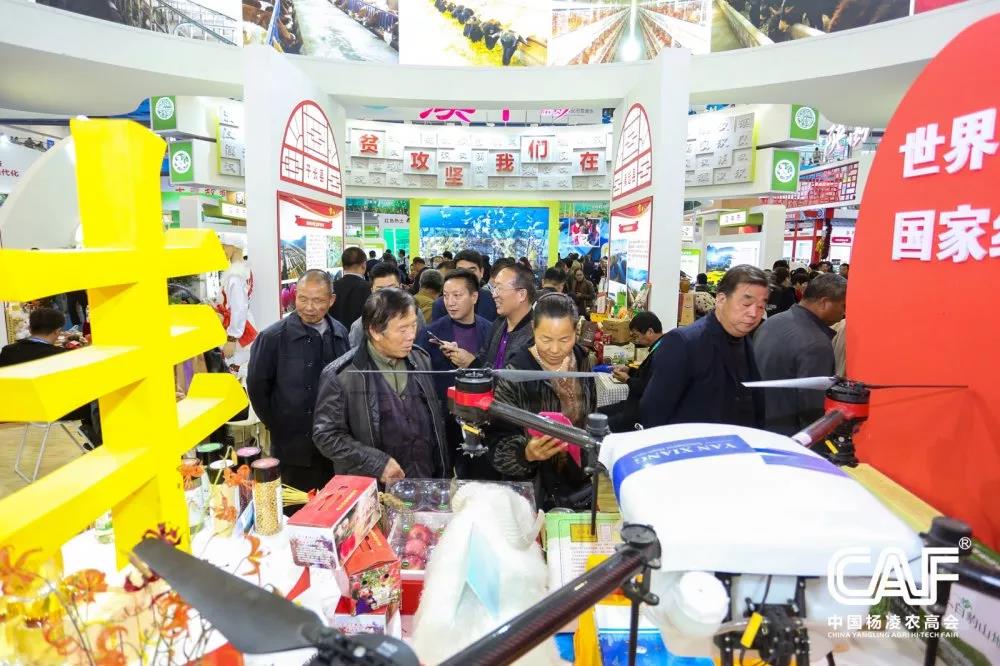 微信图片_20191024103557