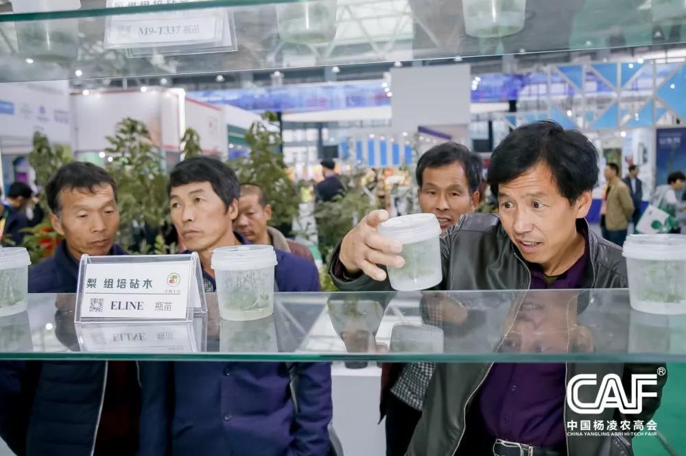 微信图片_20191024103622