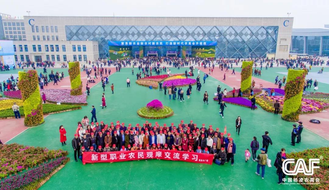 微信图片_20191024103624