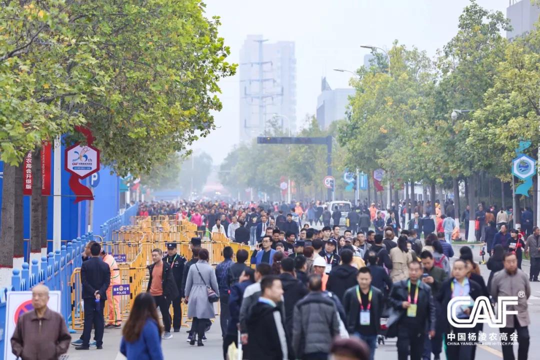 微信图片_20191024103628