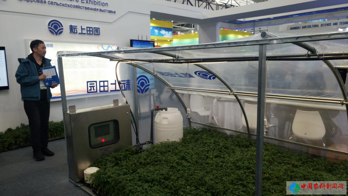 图片7