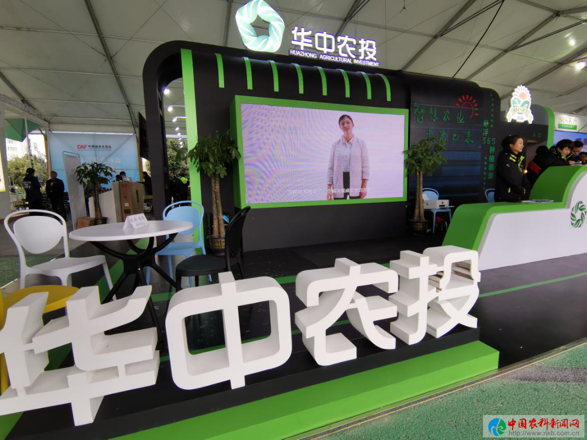图片8