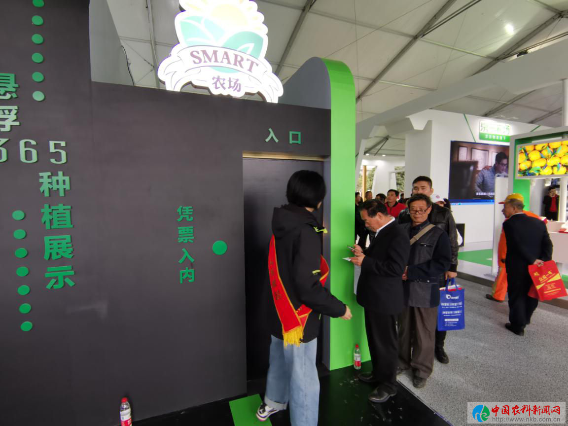 图片9