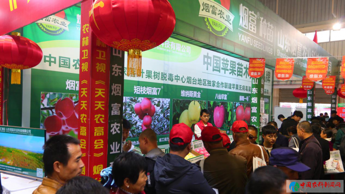 图片17
