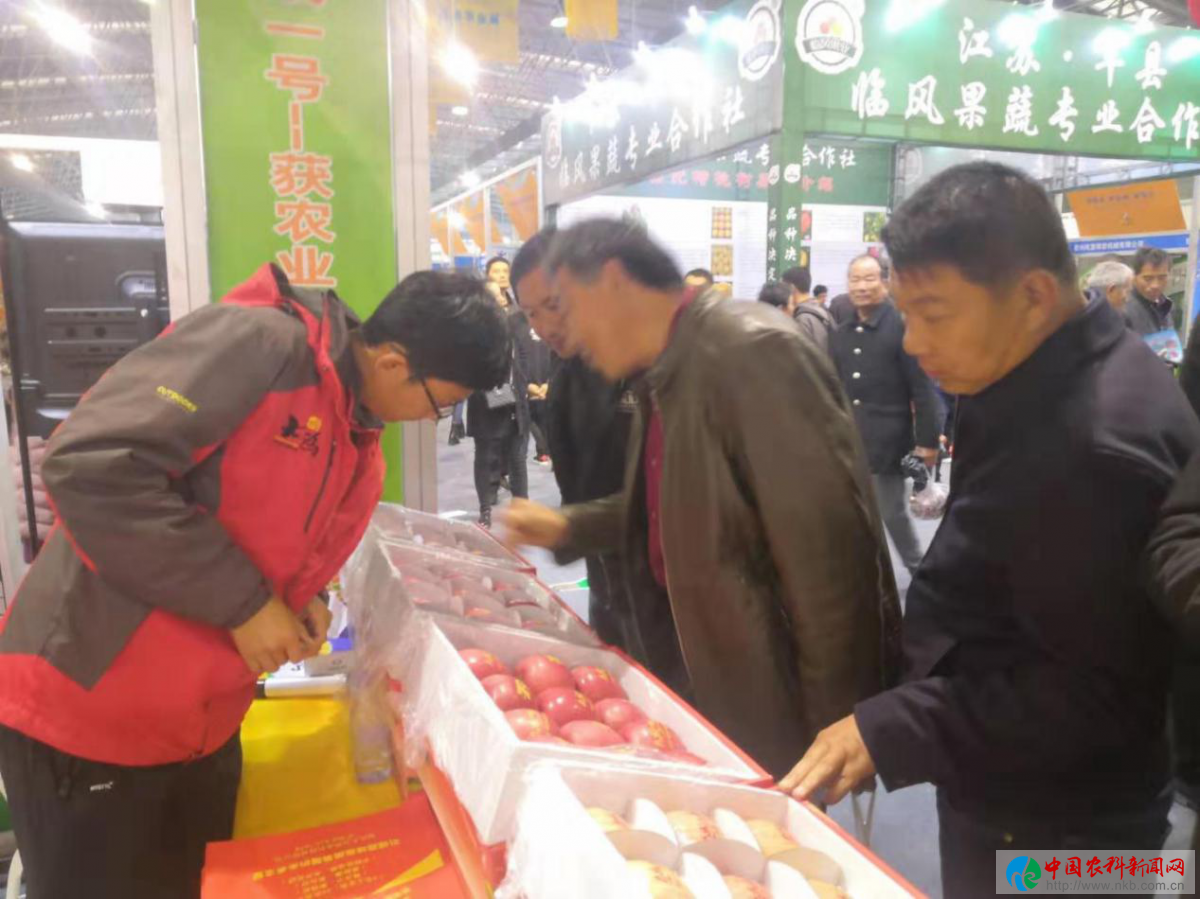 图片20