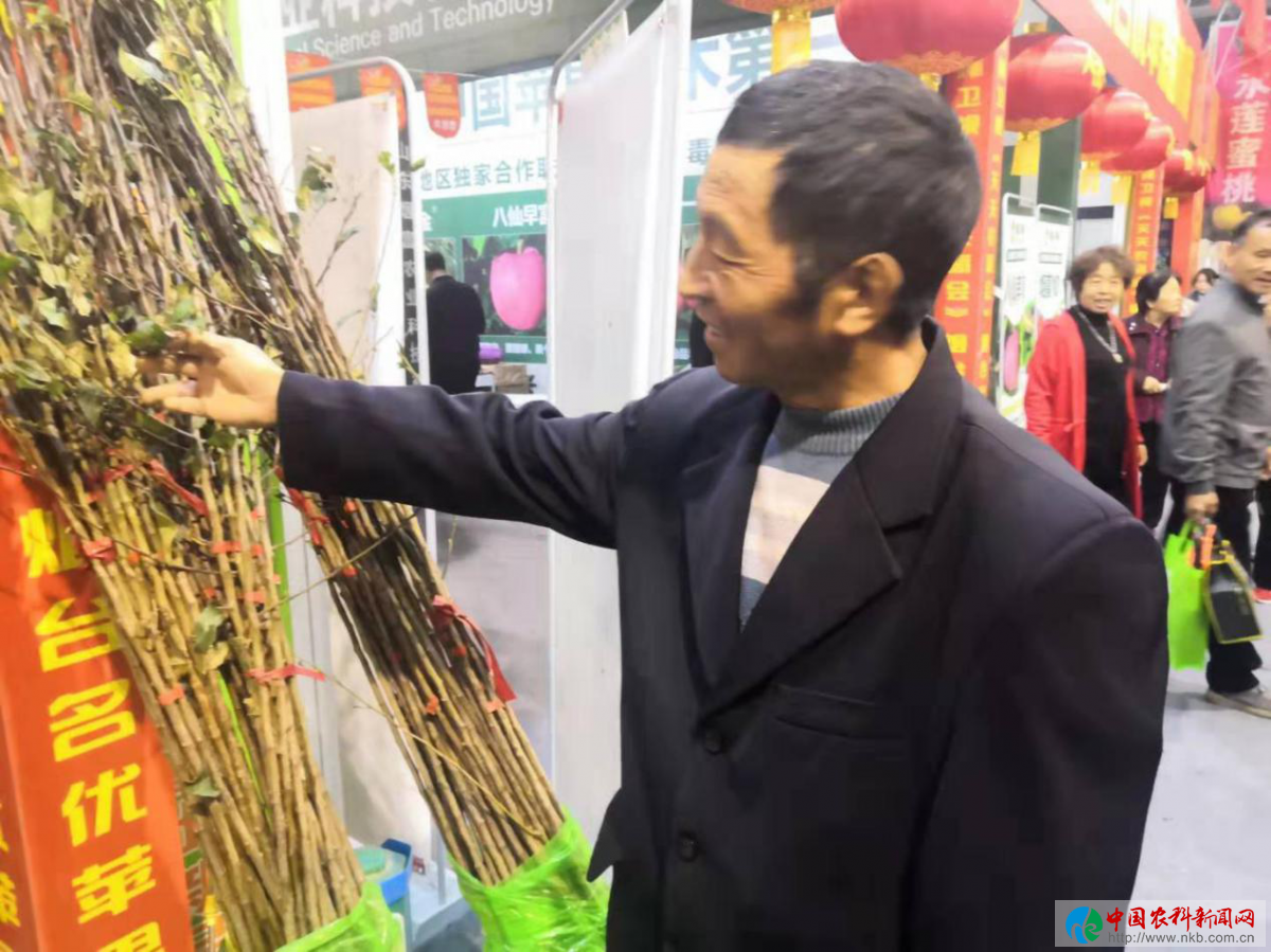 图片21