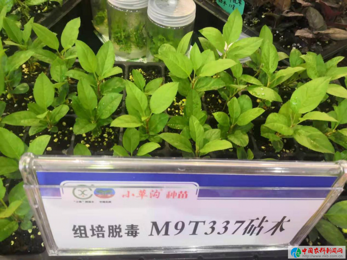 图片23