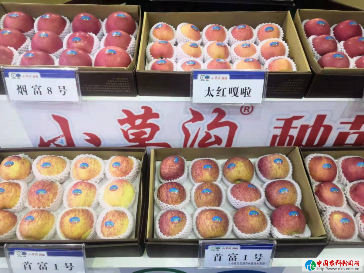 图片24