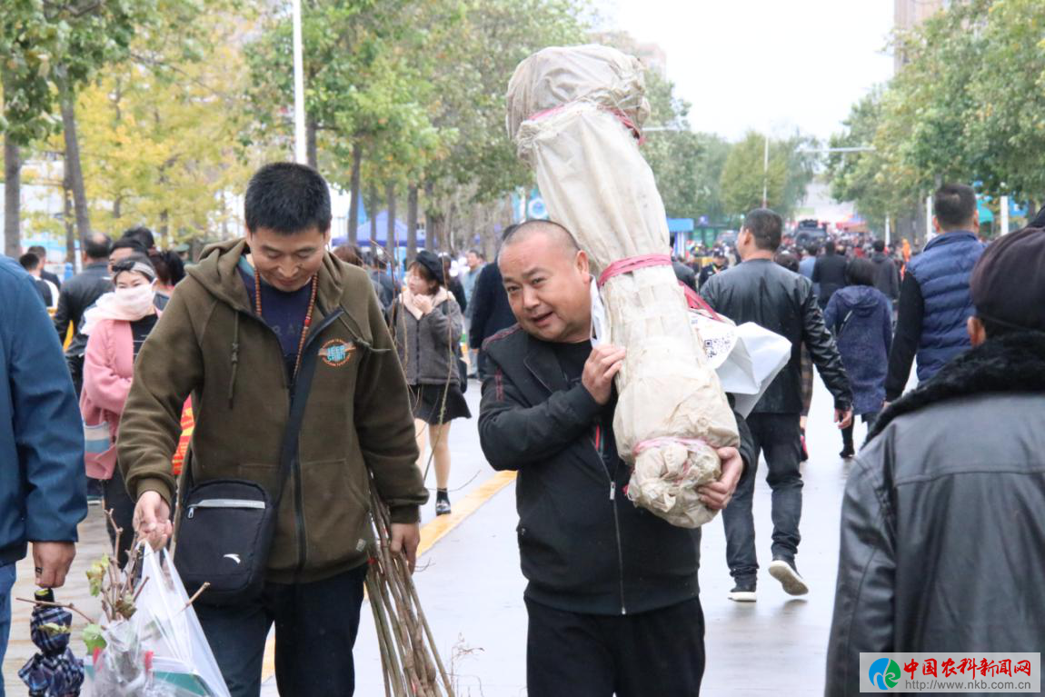 图片5