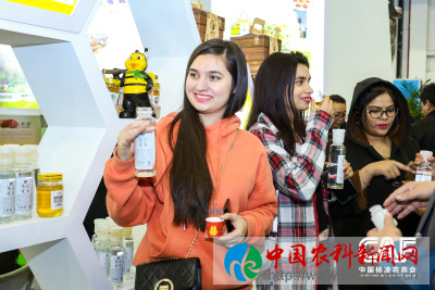 图片4