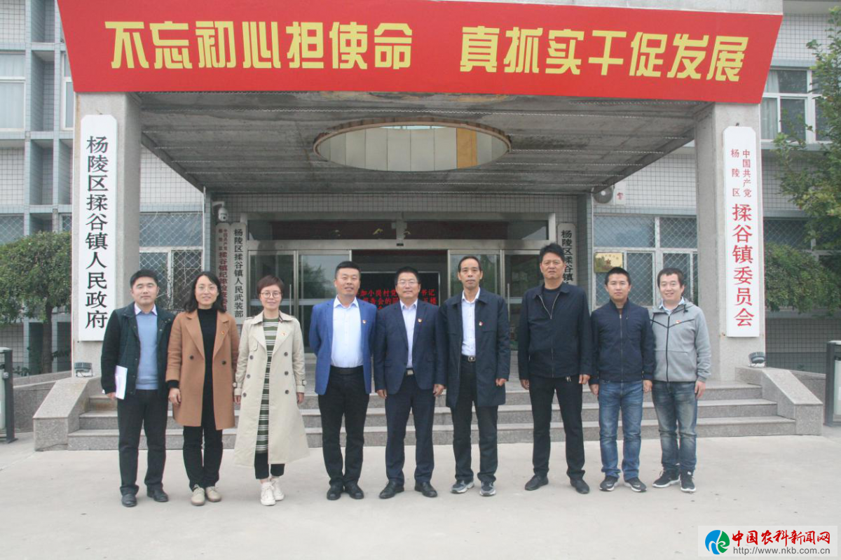 图片6