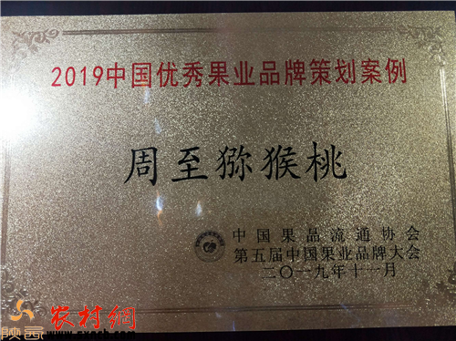 奇异果体育网址陕西周至猕猴桃获2019中国果品区域公用品牌价值榜猕猴桃类第一名(图3)