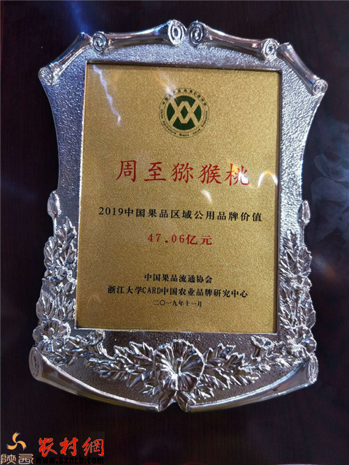 奇异果体育网址陕西周至猕猴桃获2019中国果品区域公用品牌价值榜猕猴桃类第一名(图2)