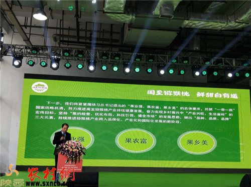 奇异果体育网址陕西周至猕猴桃获2019中国果品区域公用品牌价值榜猕猴桃类第一名(图5)