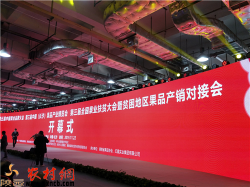奇异果体育网址陕西周至猕猴桃获2019中国果品区域公用品牌价值榜猕猴桃类第一名(图1)