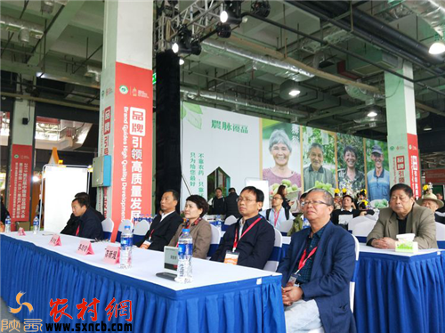 奇异果体育网址陕西周至猕猴桃获2019中国果品区域公用品牌价值榜猕猴桃类第一名(图6)