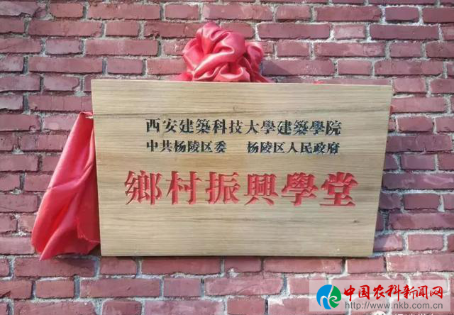 图片13