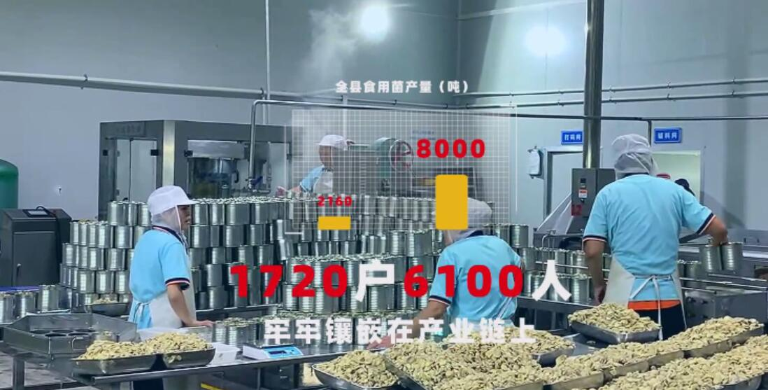 a361a744f6193a43e745d88cdf90ad5d.png