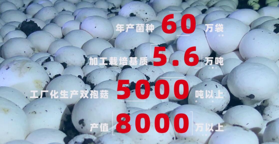 7c83fb141d2e366469b8752a629851ff.png