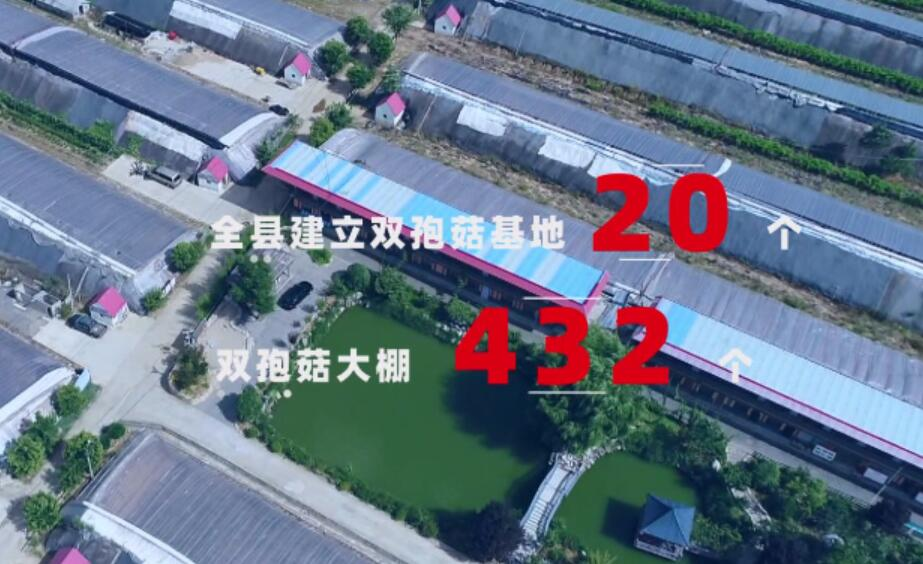 9e3608f2f6fcb7081cc5e3cc2906a0f8.png