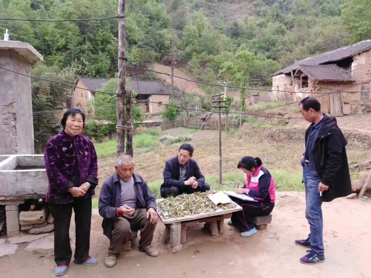 微信图片_20200116173830