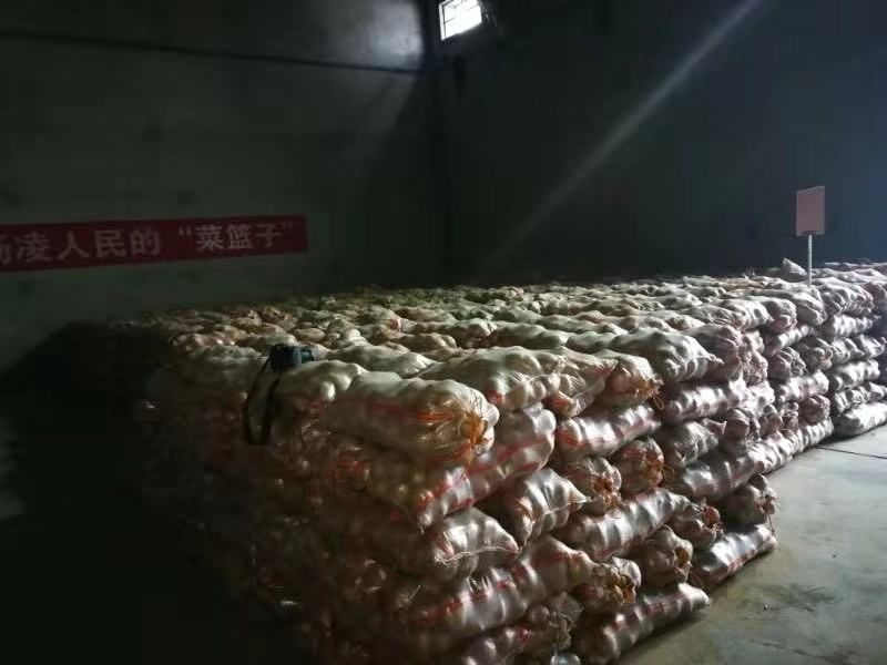 微信图片_20200127172525.jpg