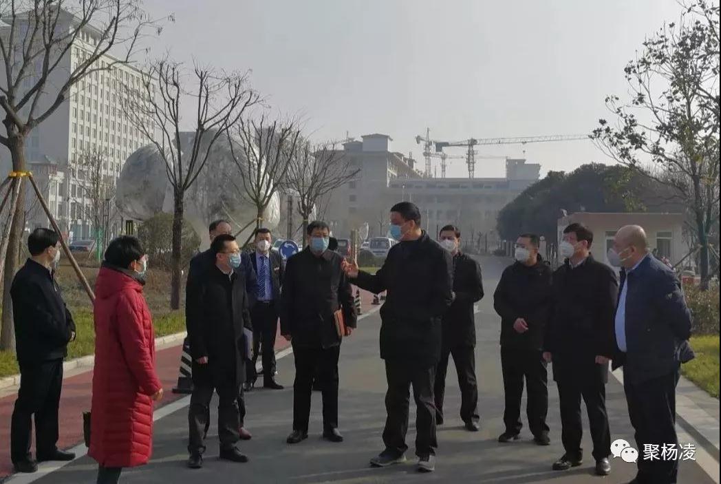 微信图片_20200131100429
