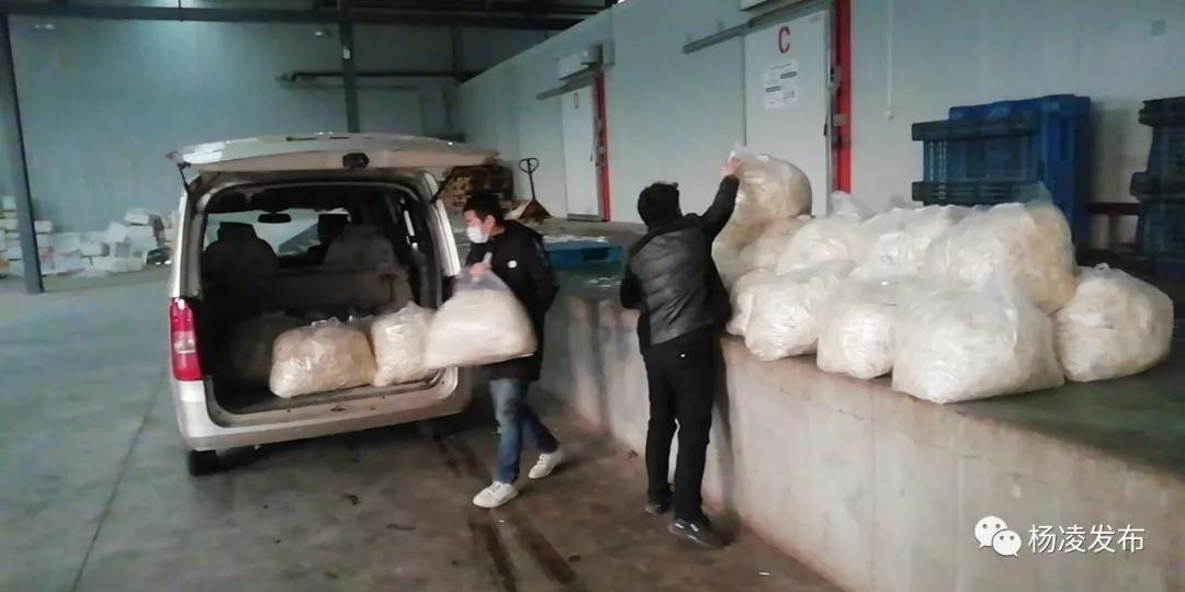 微信图片_20200202105436